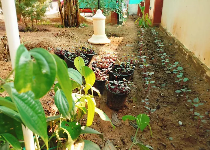 The Ixora - A Boutique Homestay