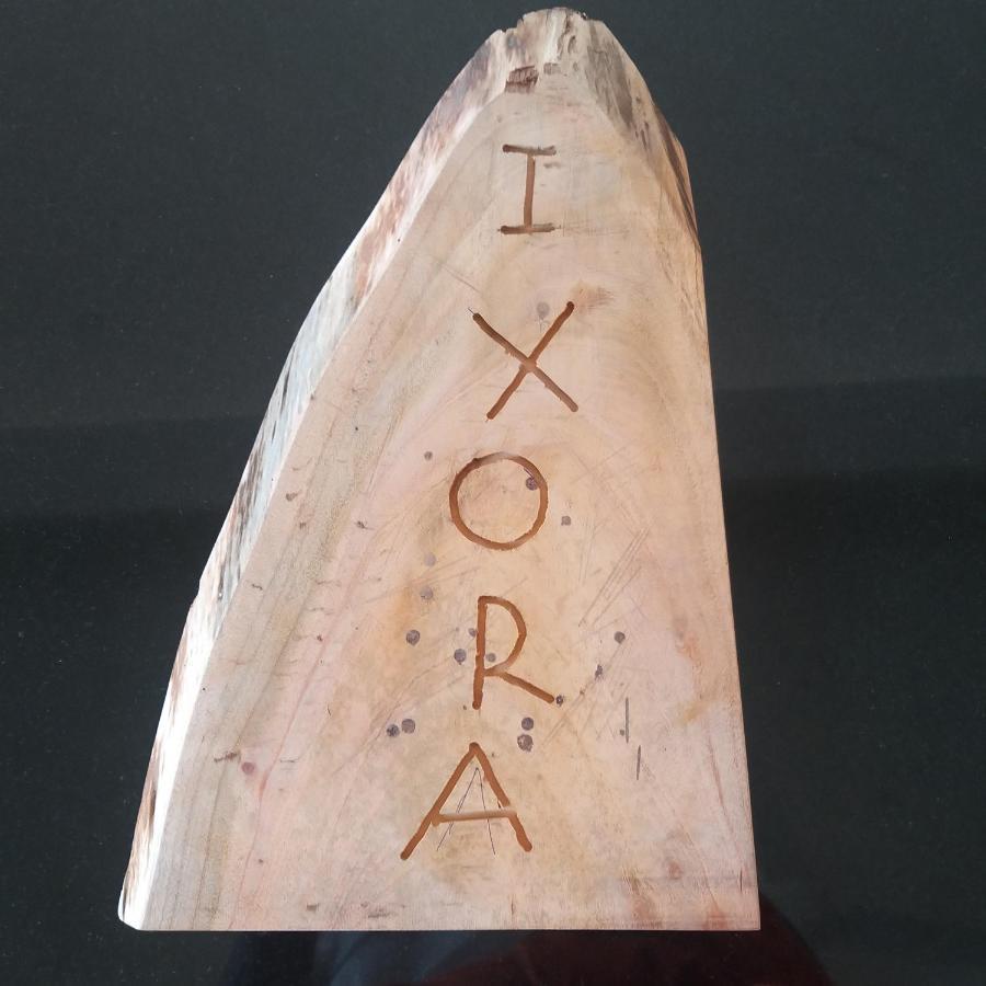 The Ixora - A Boutique