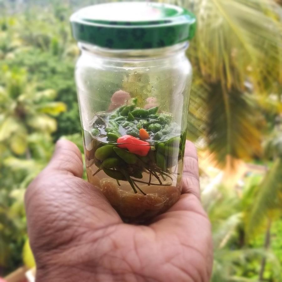 The Ixora - A Boutique Varkala
