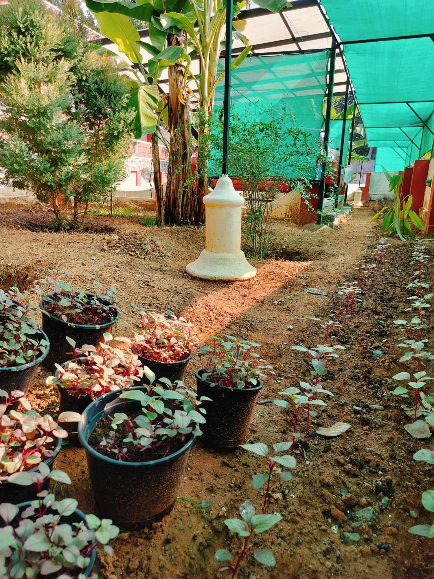 The Ixora - A Boutique Homestay Varkala