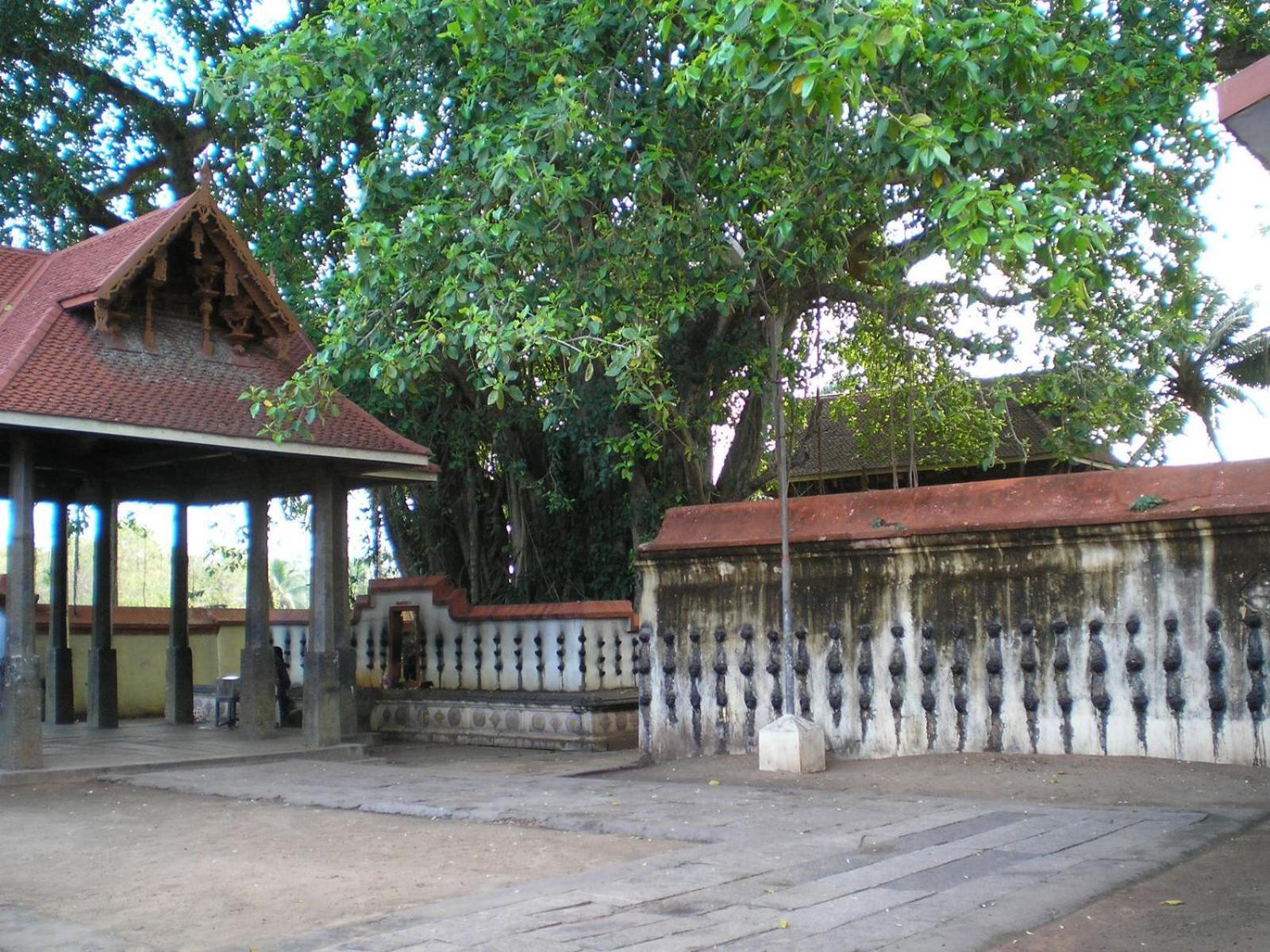 Homestay The Ixora - A Boutique Varkala