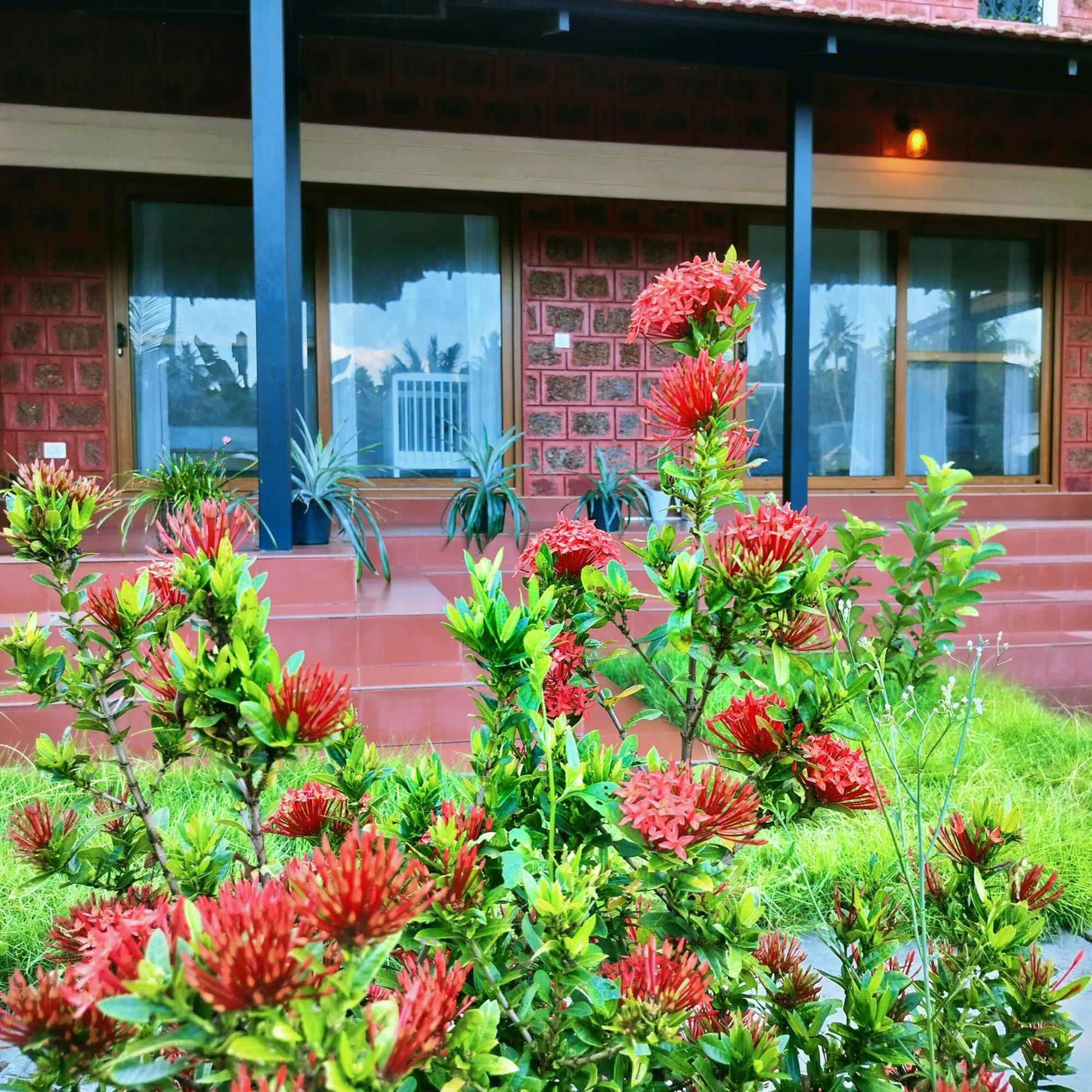 The Ixora - A Boutique * Varkala
